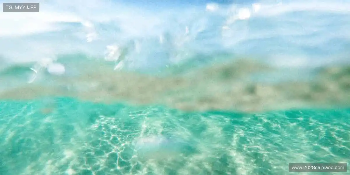 直播镜头锁定胜负悬念，你的呐喊永不迟到！📺